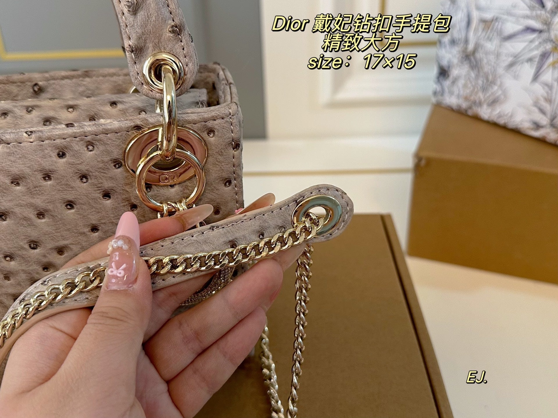 Lady Dior Handbag