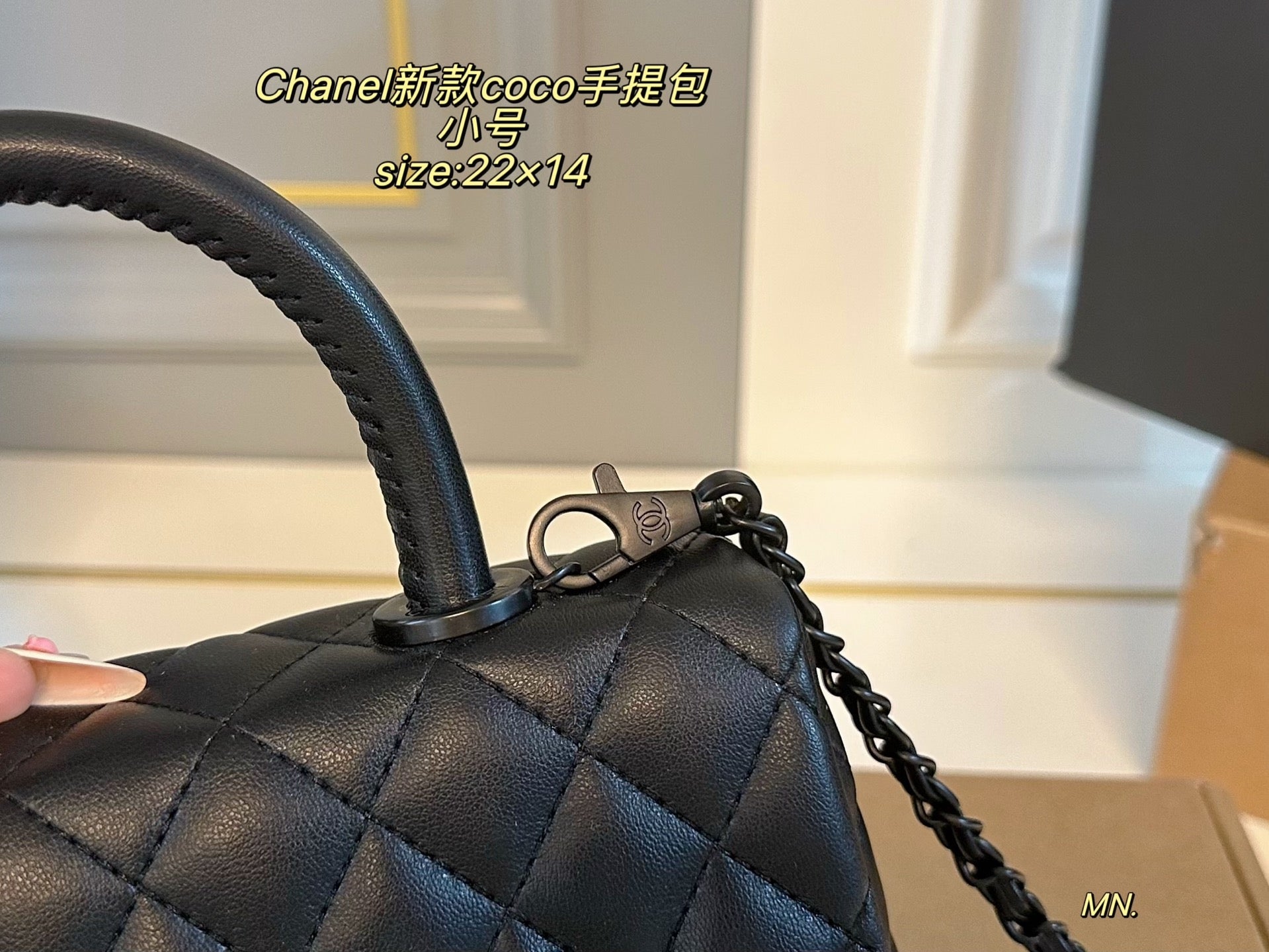 Chanel Coco Handbag