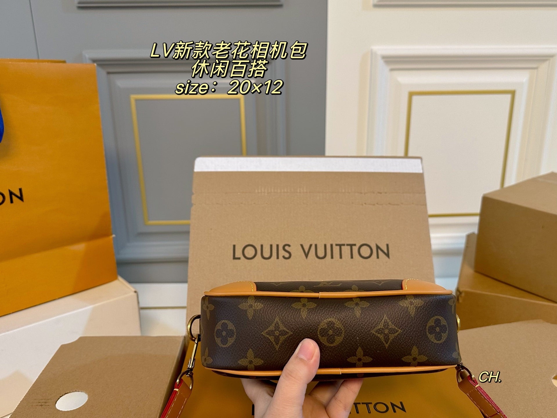 LV  Neo Alpha Camera Bag