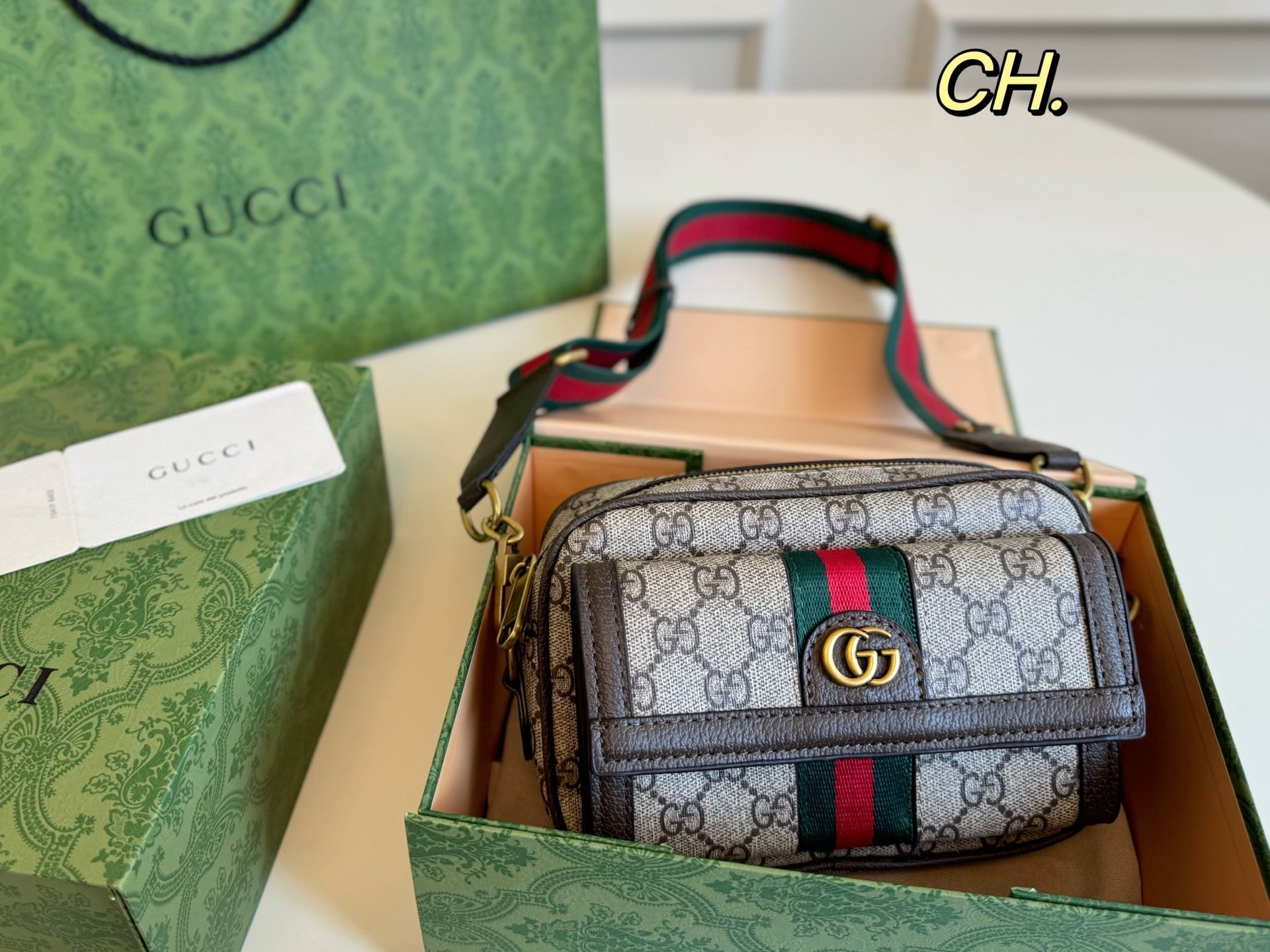 Gucci Ophidia Camera Bag