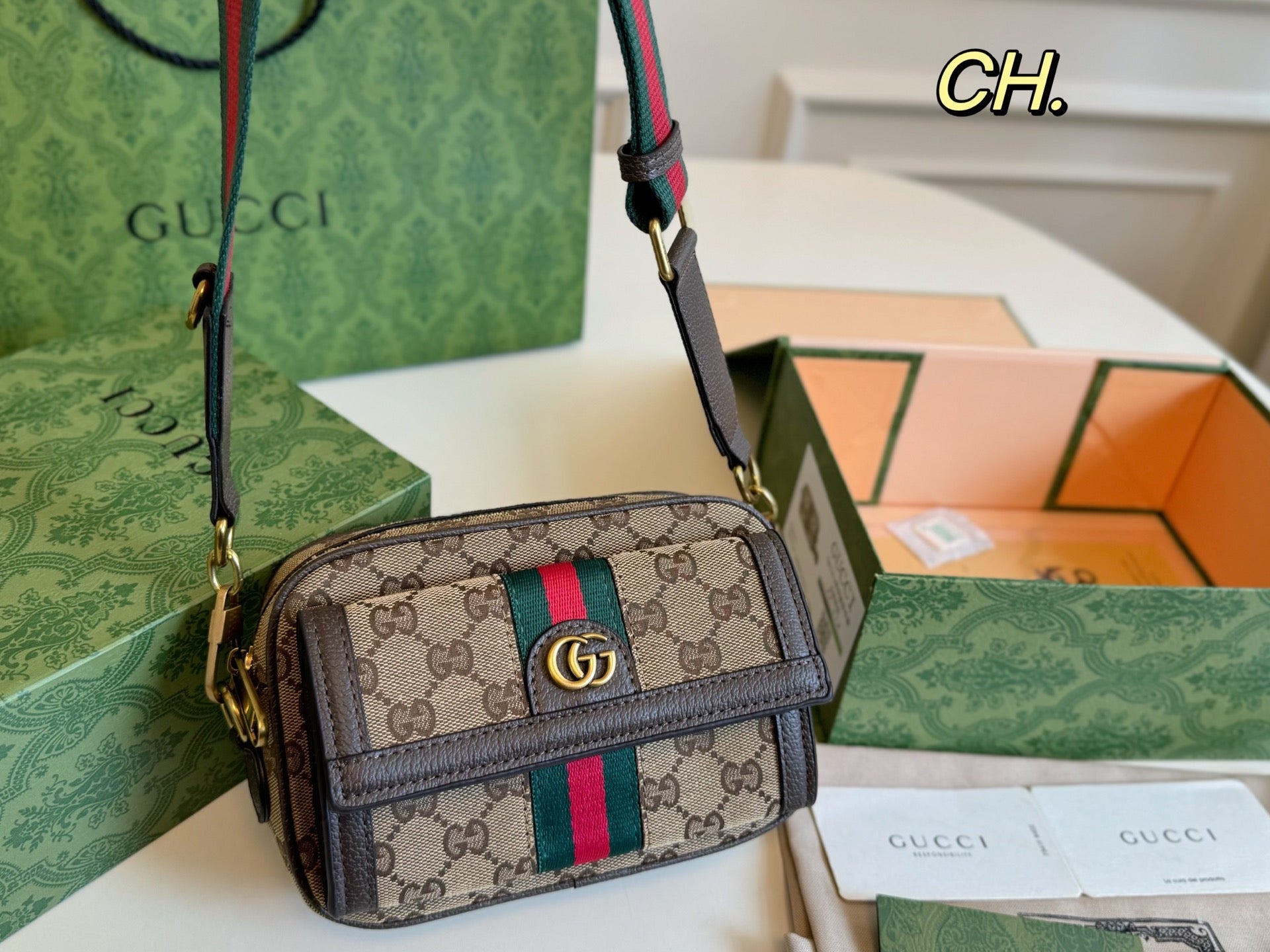 Gucci Ophidia Camera Bag