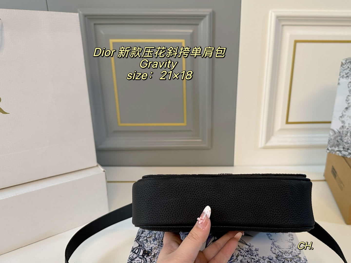 Dior Gravity Pressed flower crossbody bag