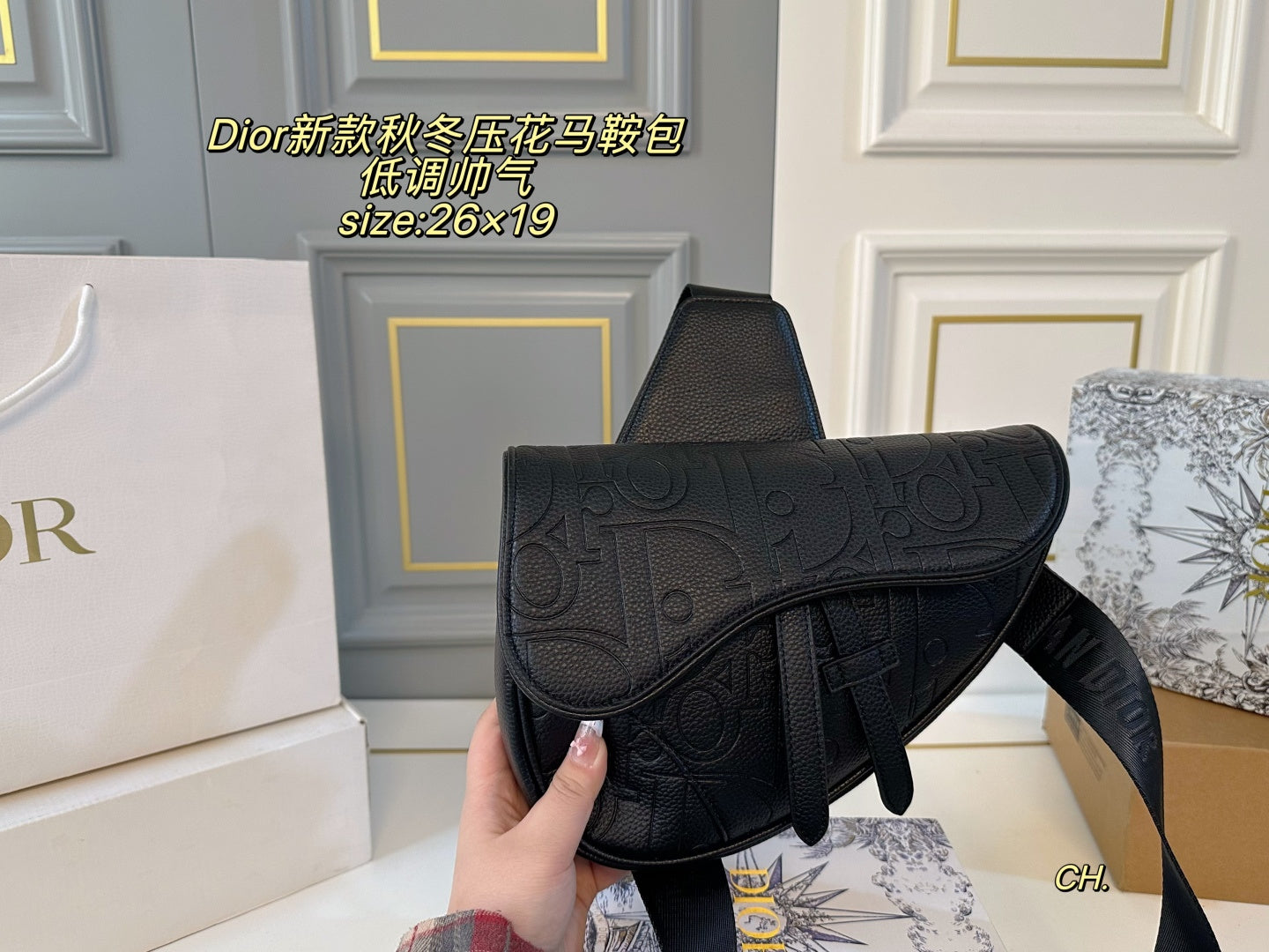 Dior Embossed Saddle Bag
