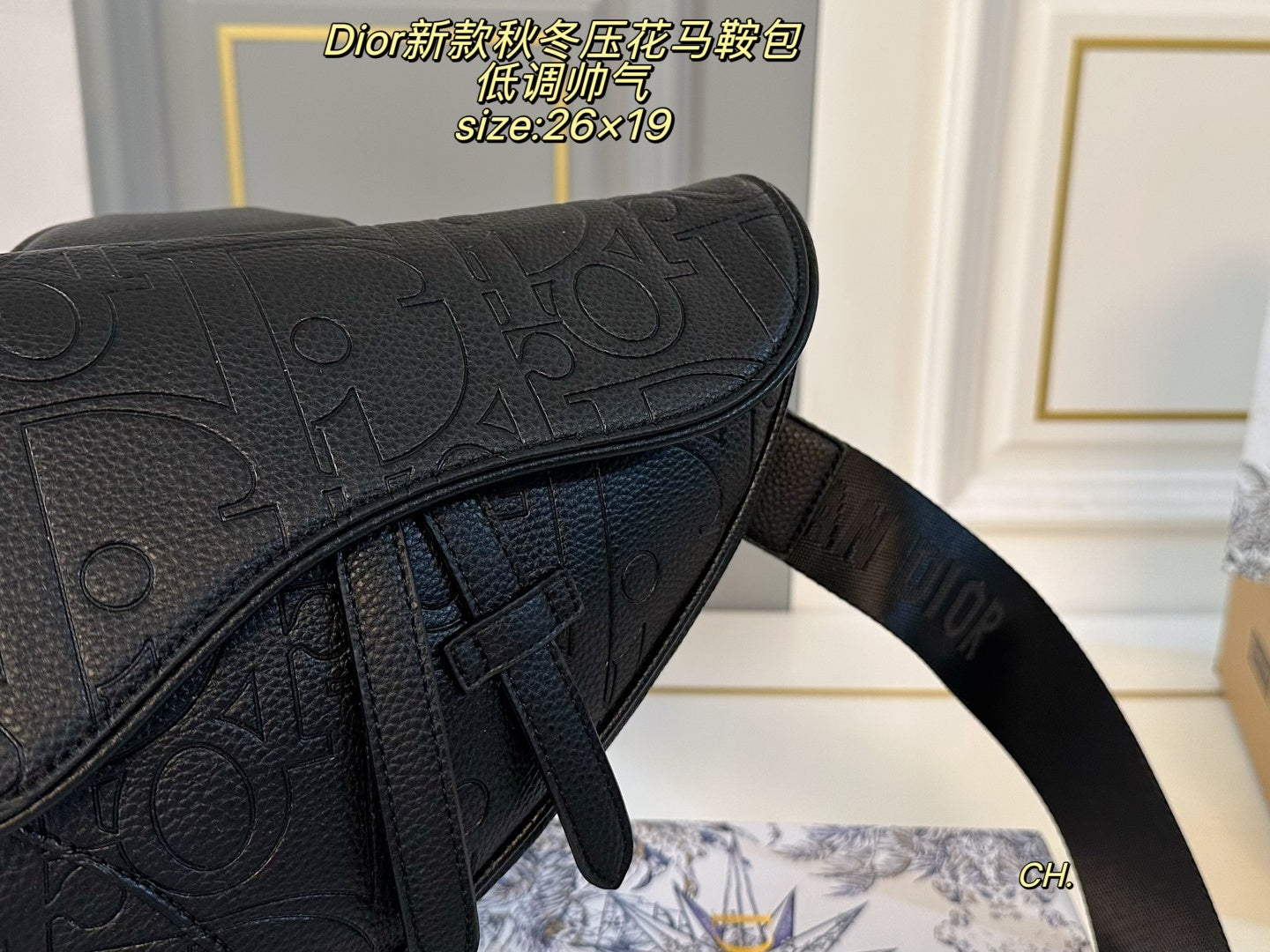 Dior Embossed Saddle Bag