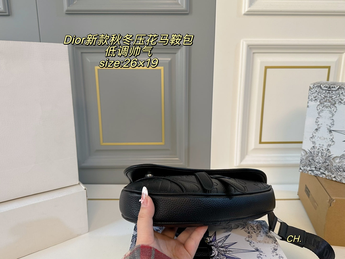 Dior Embossed Saddle Bag