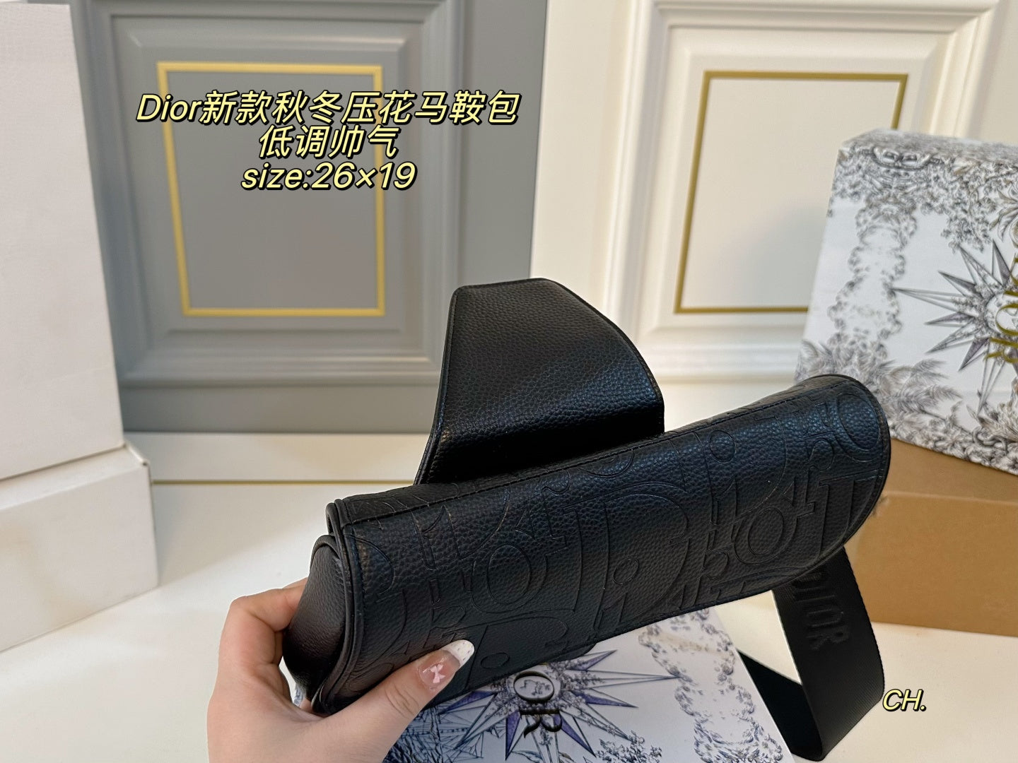 Dior Embossed Saddle Bag