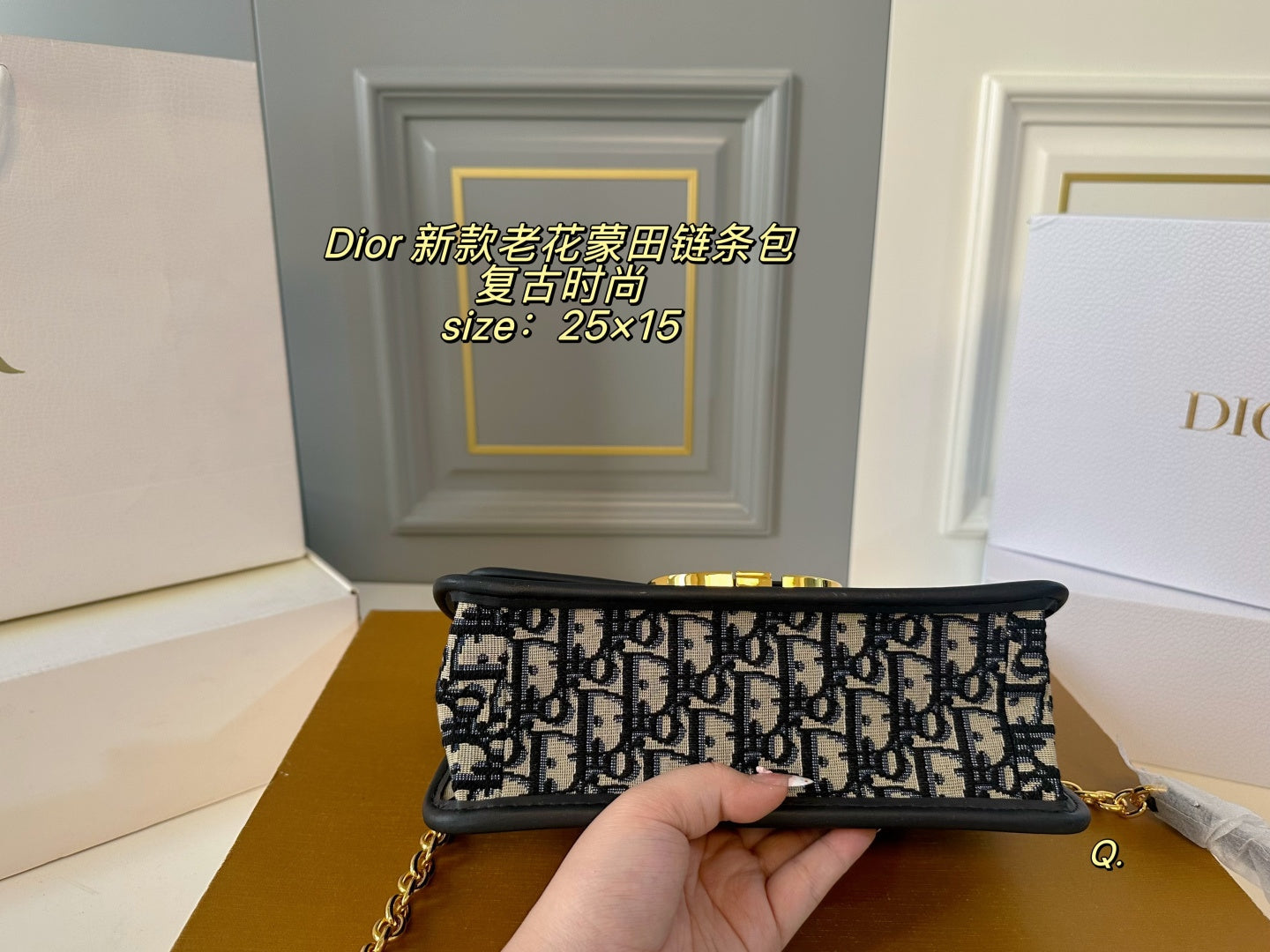 Dior Montaigne Chain Bag