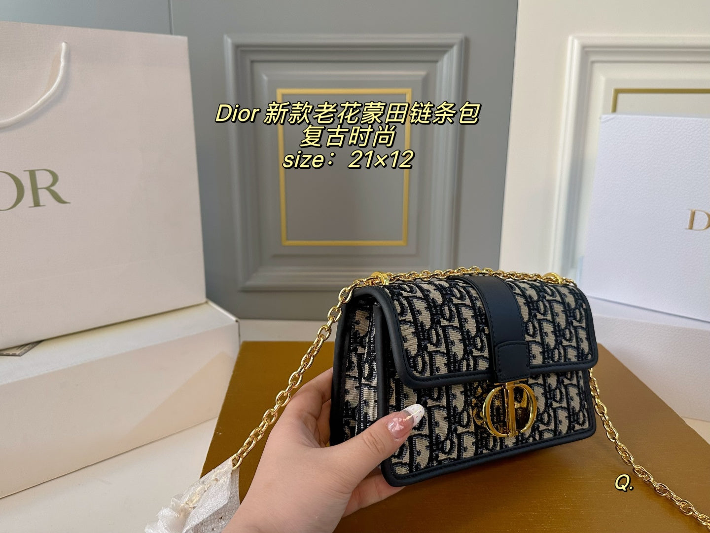 Dior Montaigne Chain Bag