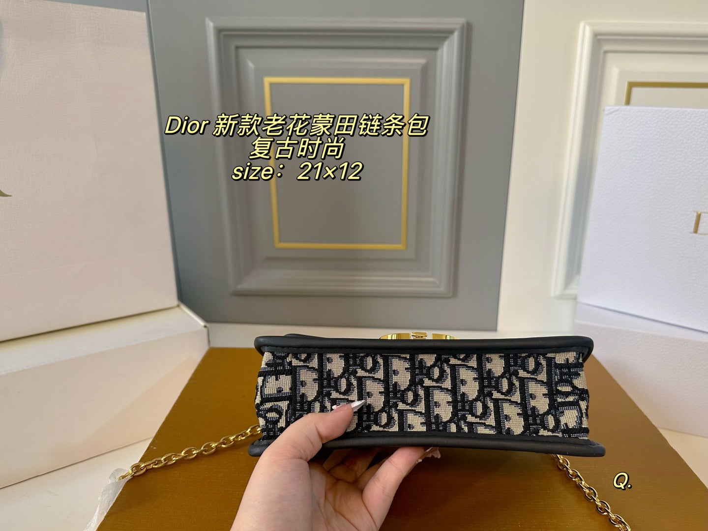 Dior Montaigne Chain Bag