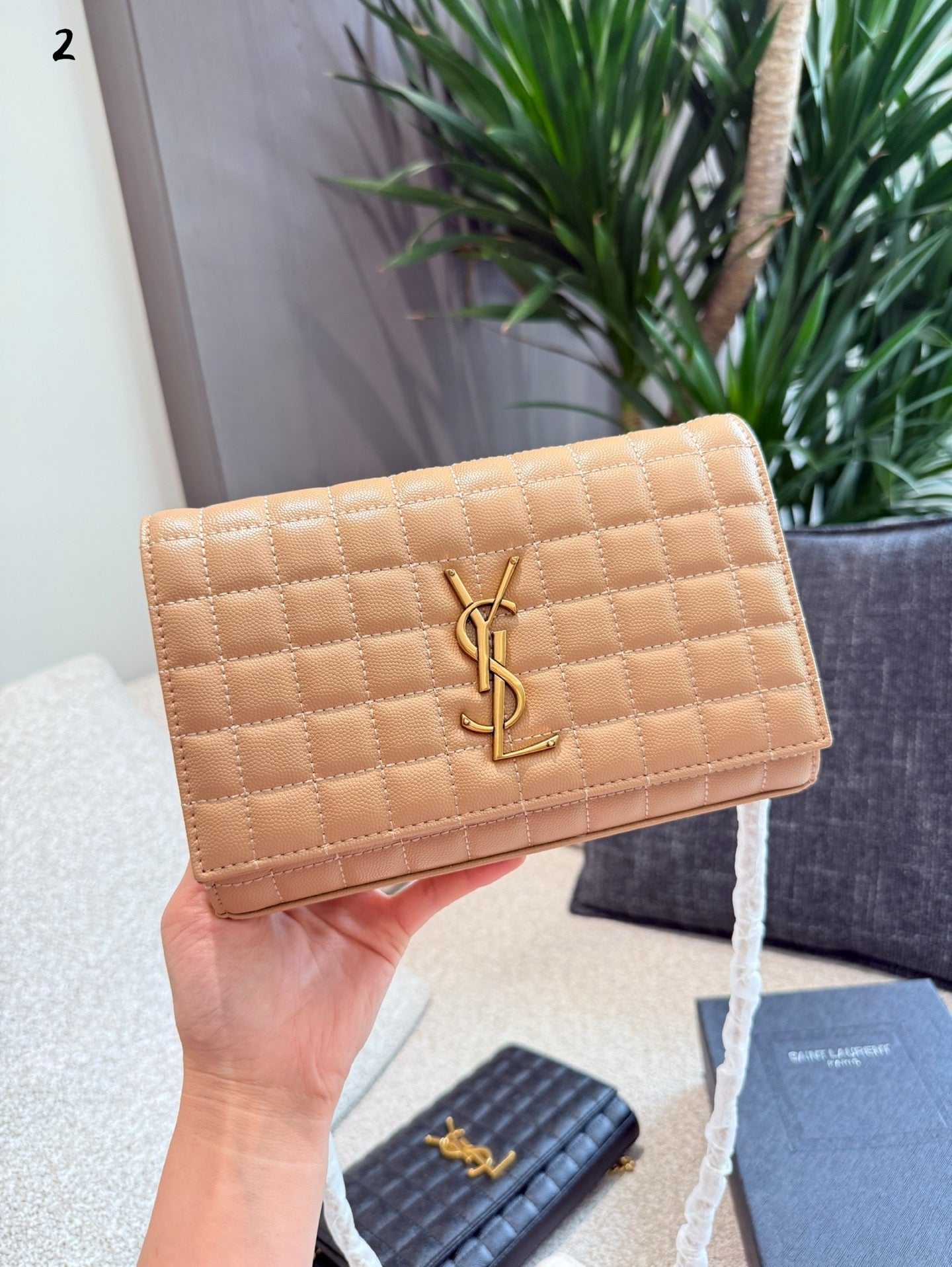 YSL Woc chain bag