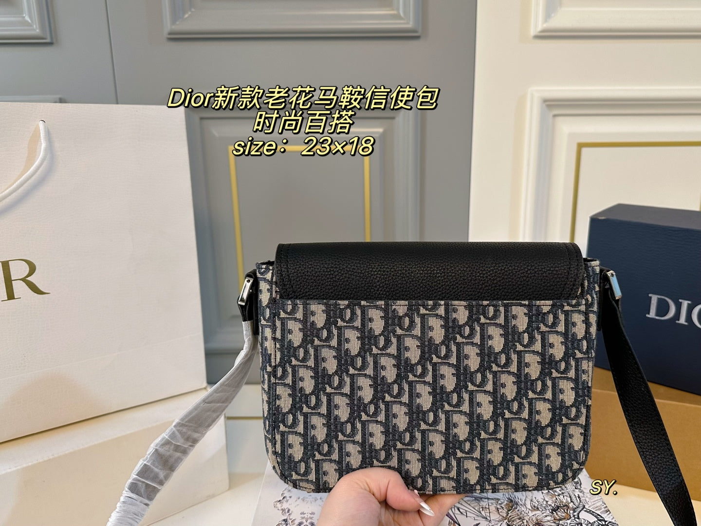 DIOR Saddle Messenger Bag