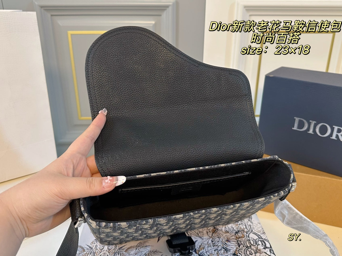 DIOR Saddle Messenger Bag