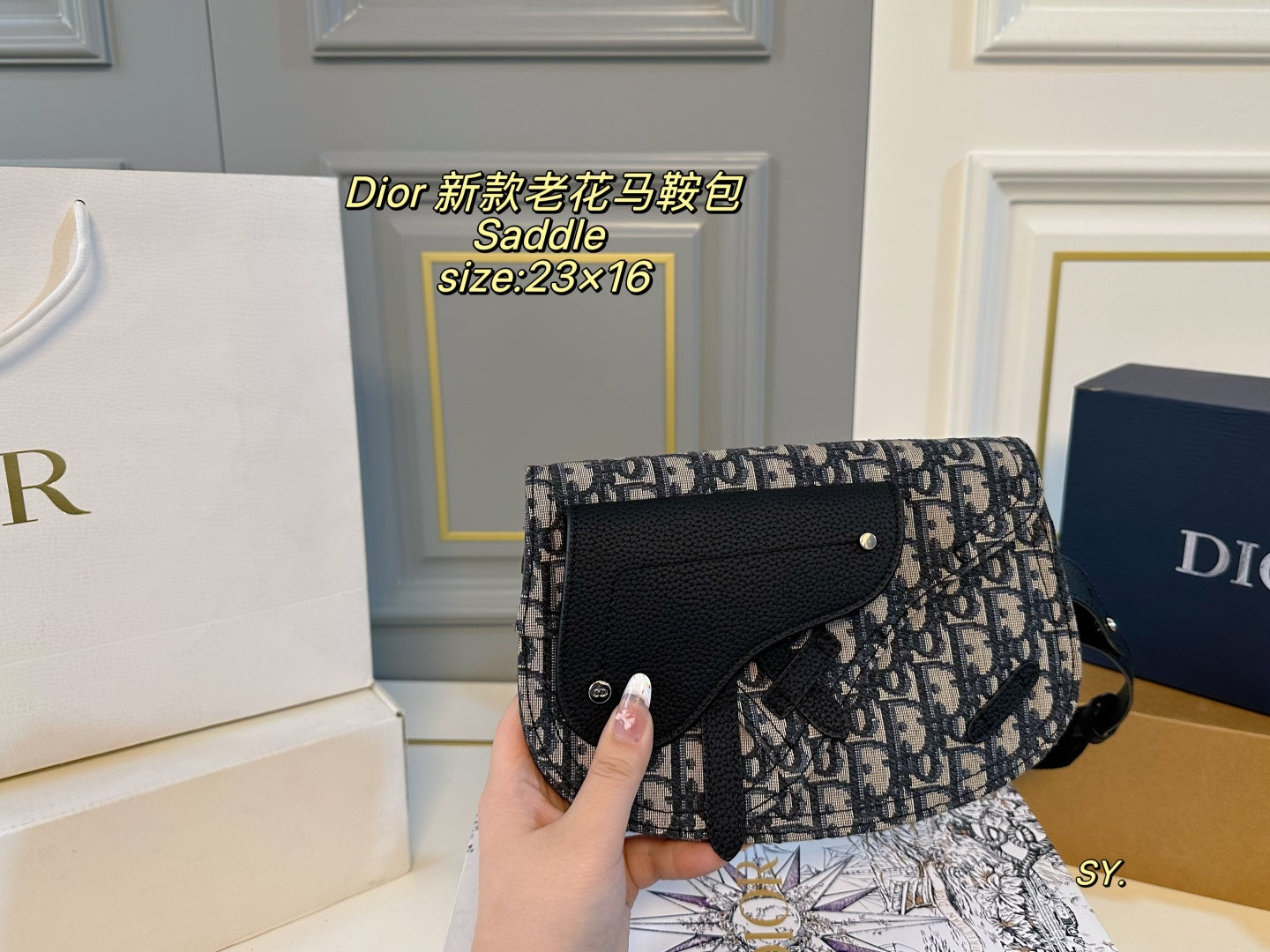 Dior Saddle