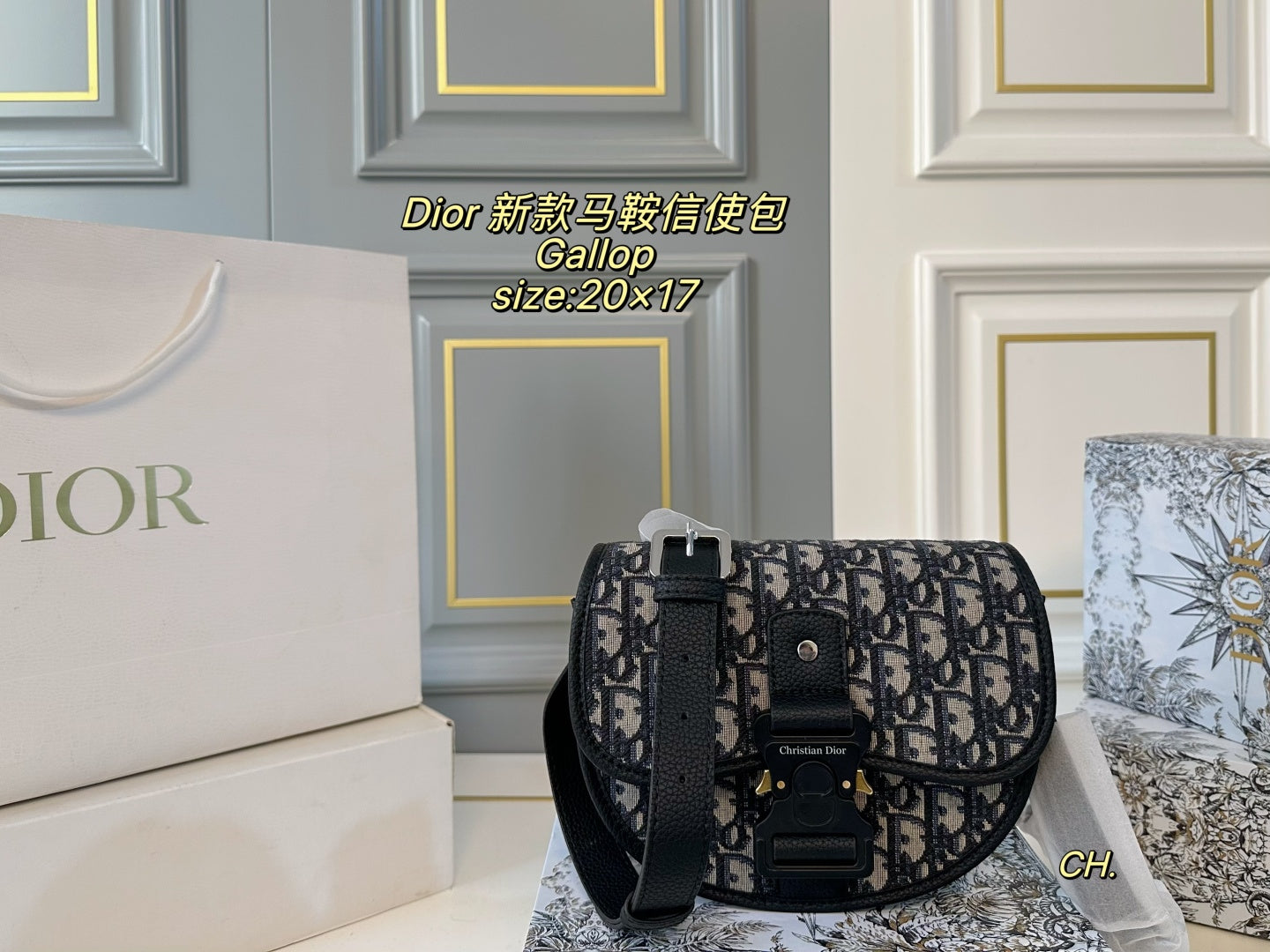 DIOR Gallop Saddle Messenger Bag