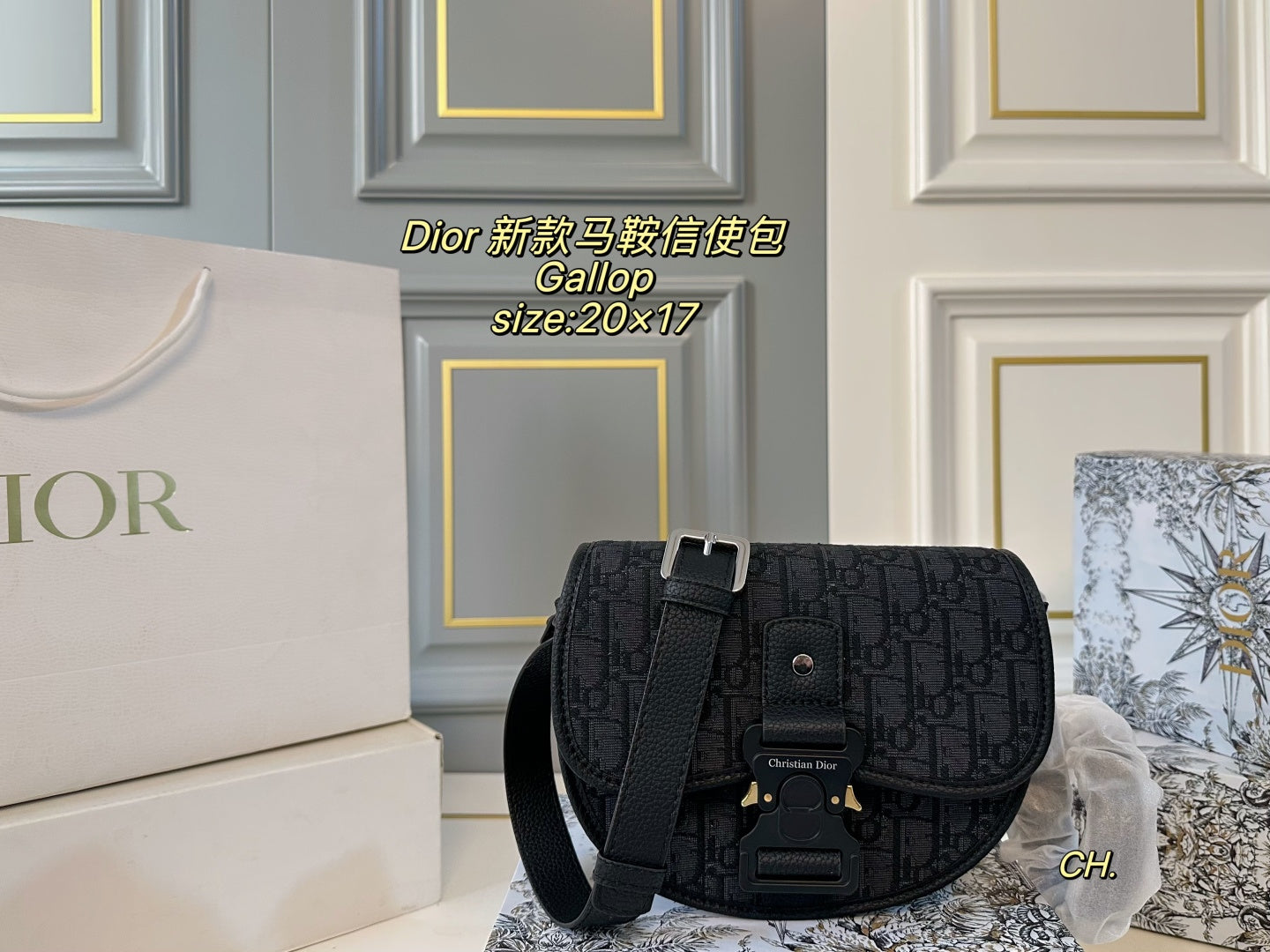 DIOR Gallop Saddle Messenger Bag