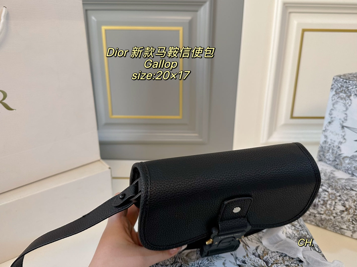 DIOR Gallop Saddle Messenger Bag