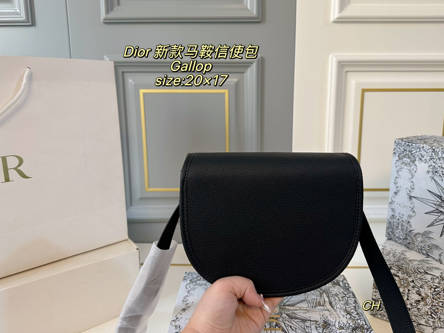 DIOR Gallop Saddle Messenger Bag