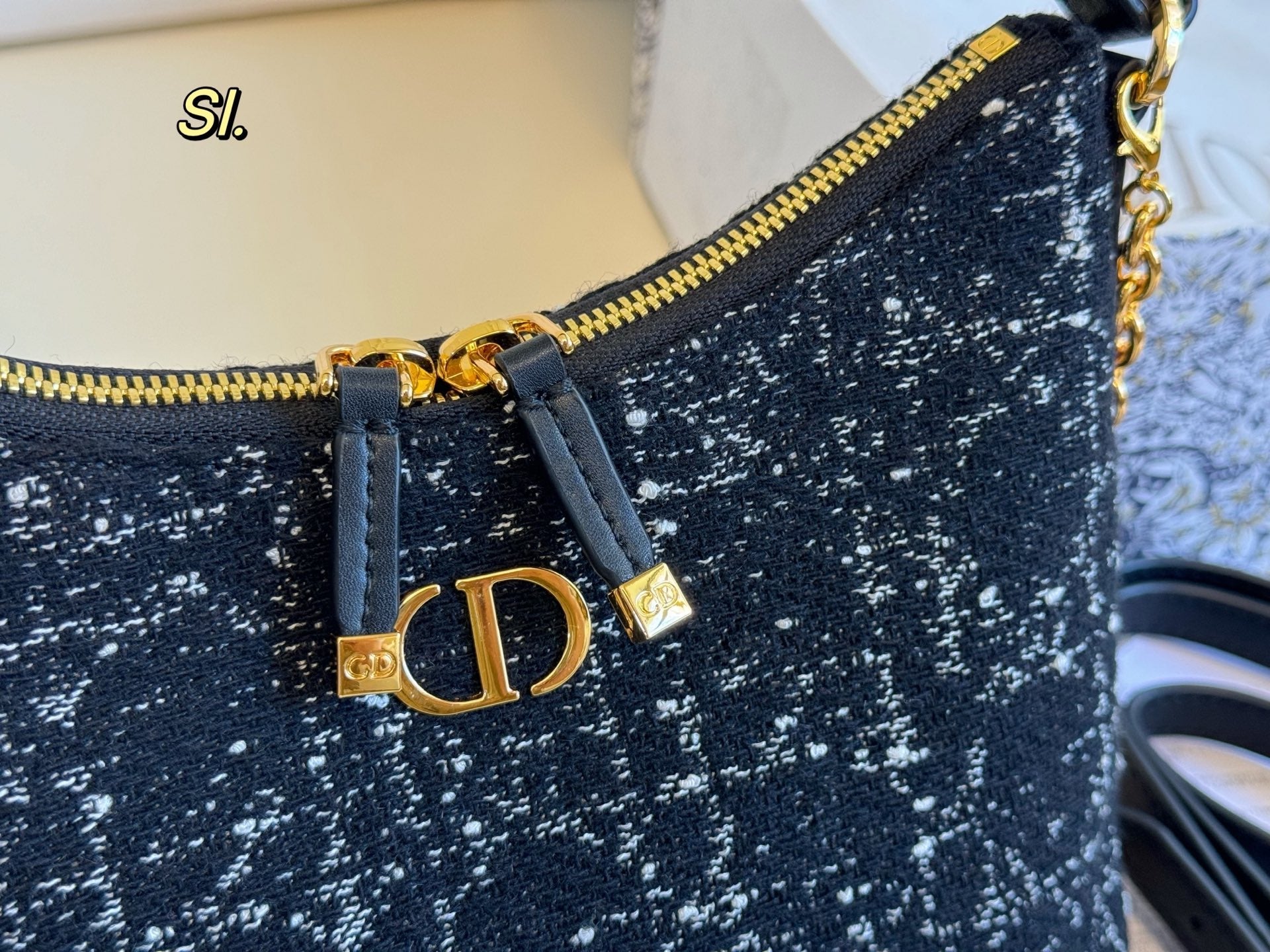 DIOR Caro Underarm Bag