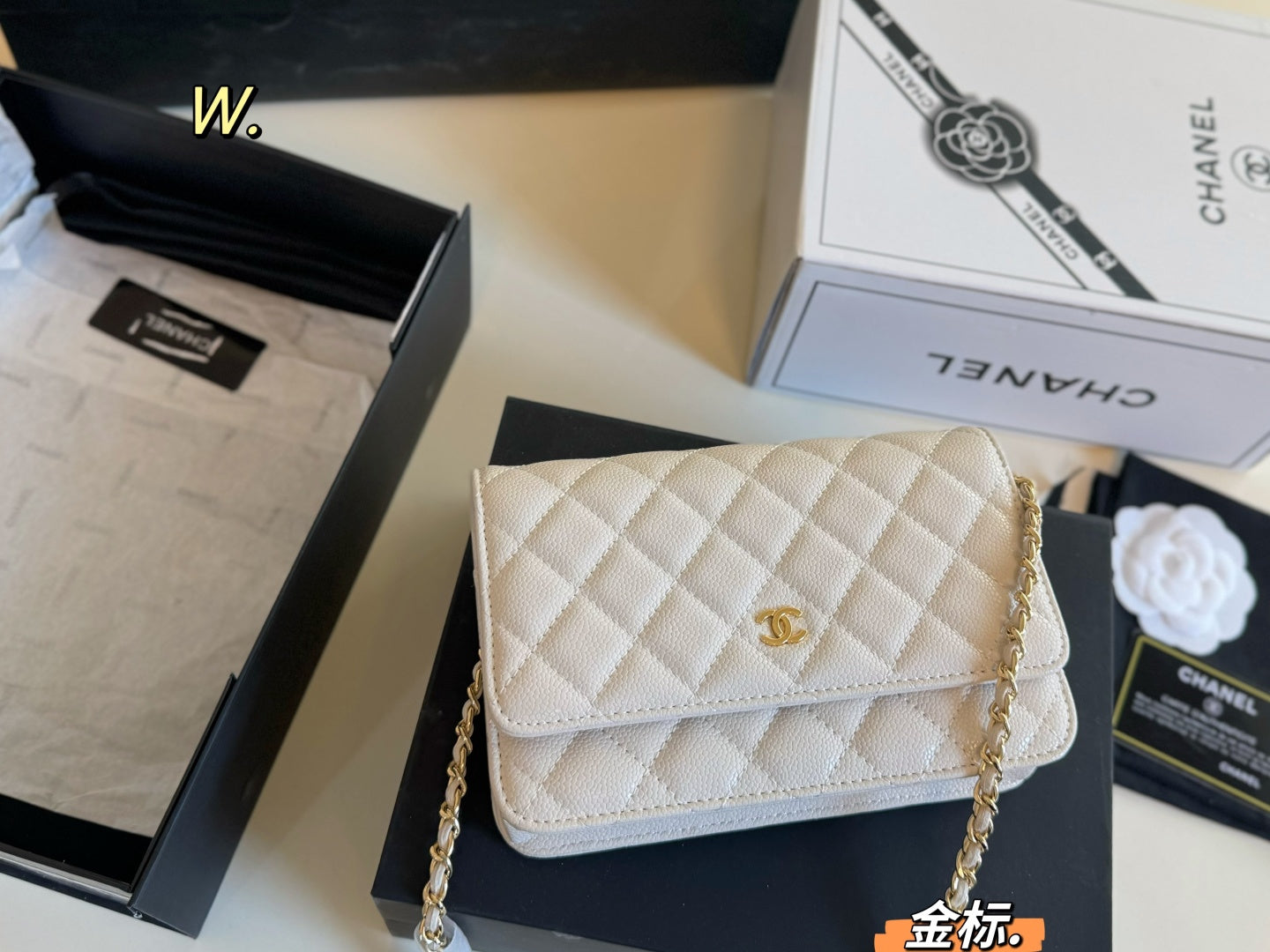 CHANEL woc Chain Bag