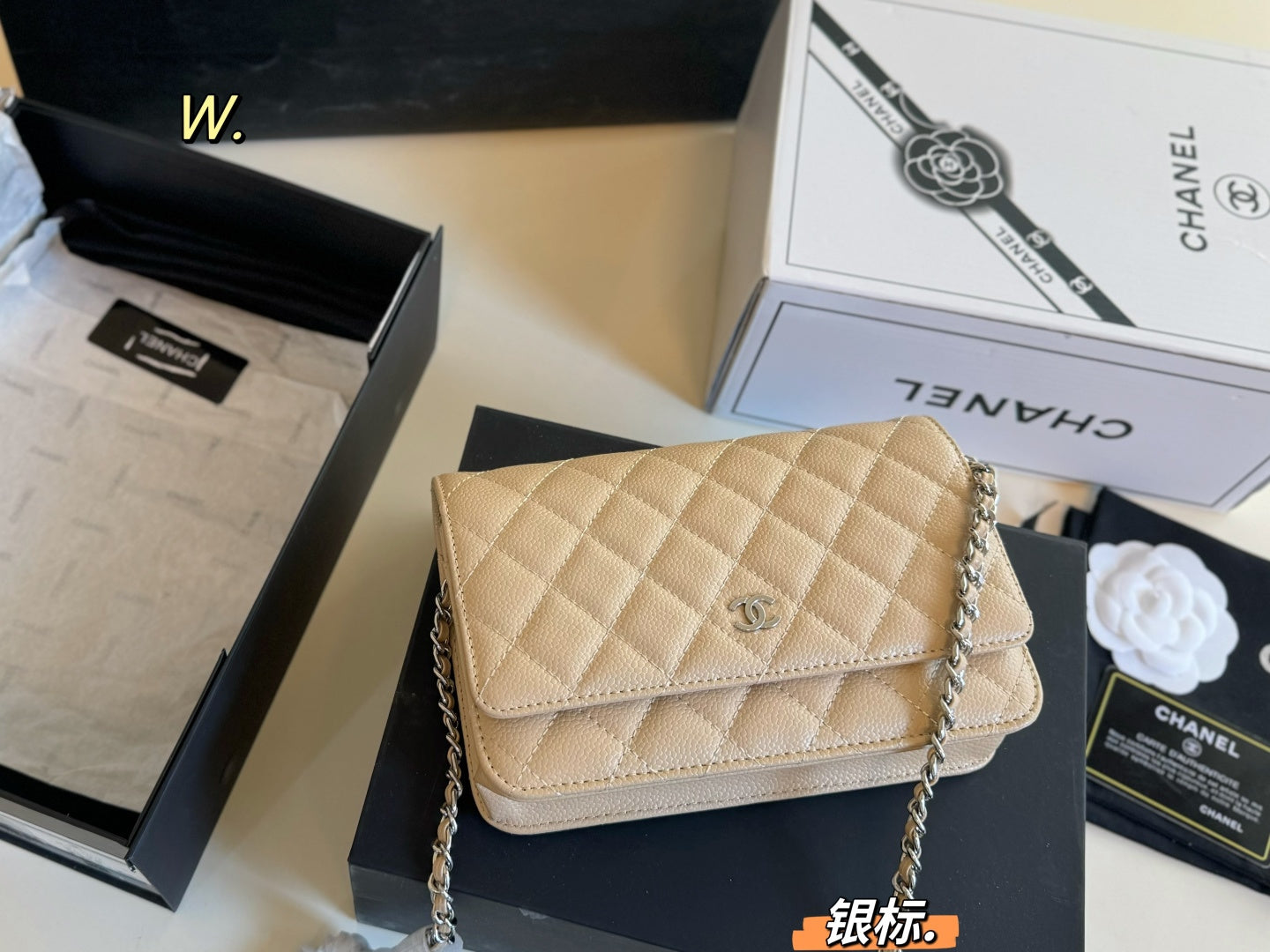 CHANEL woc Chain Bag