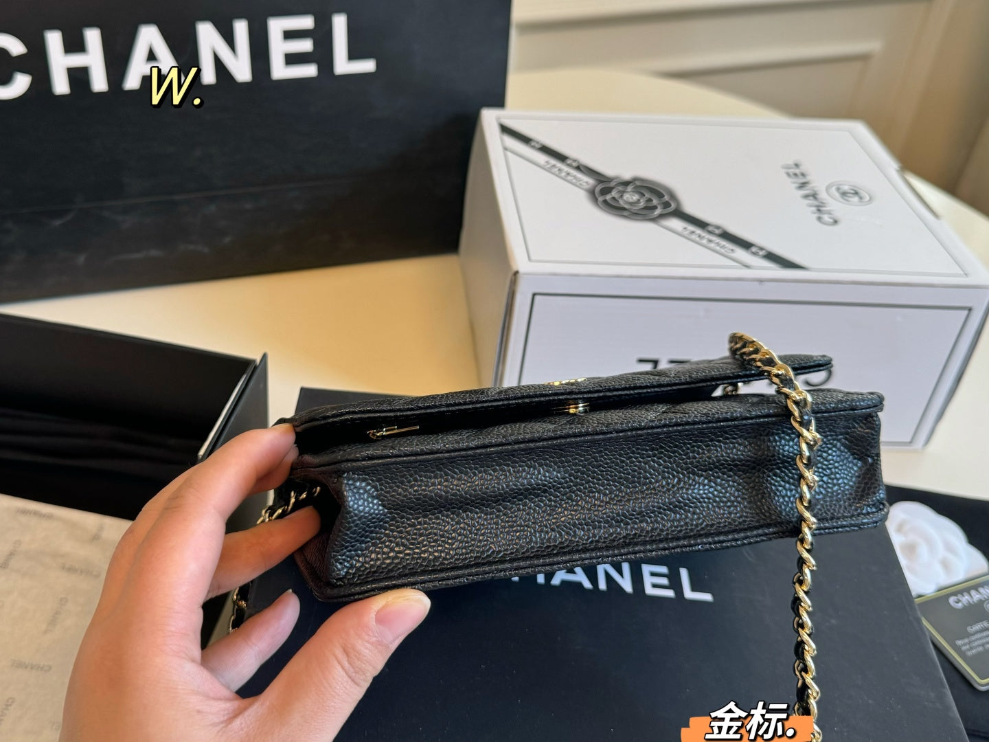 CHANEL woc Chain Bag