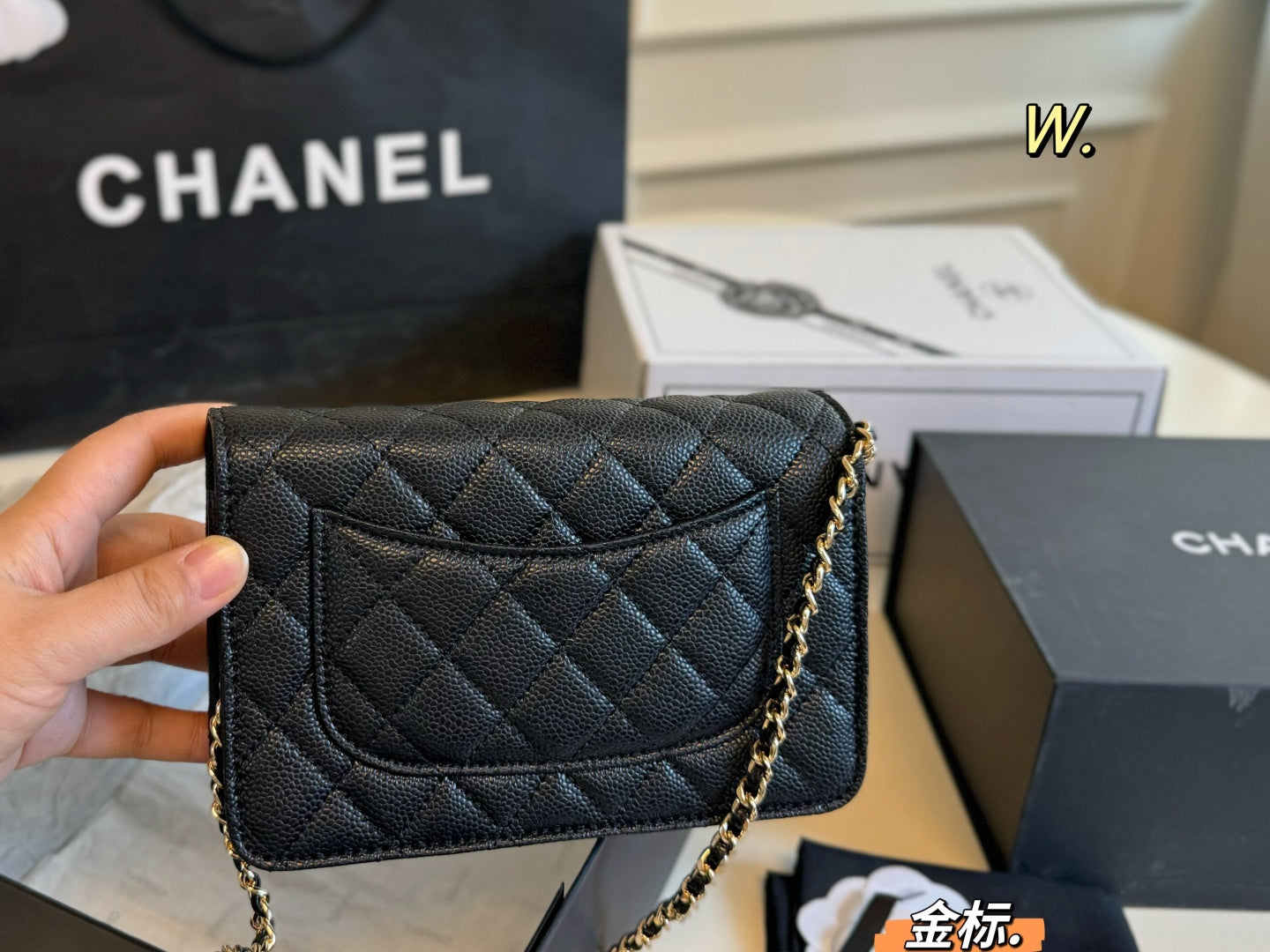 CHANEL woc Chain Bag