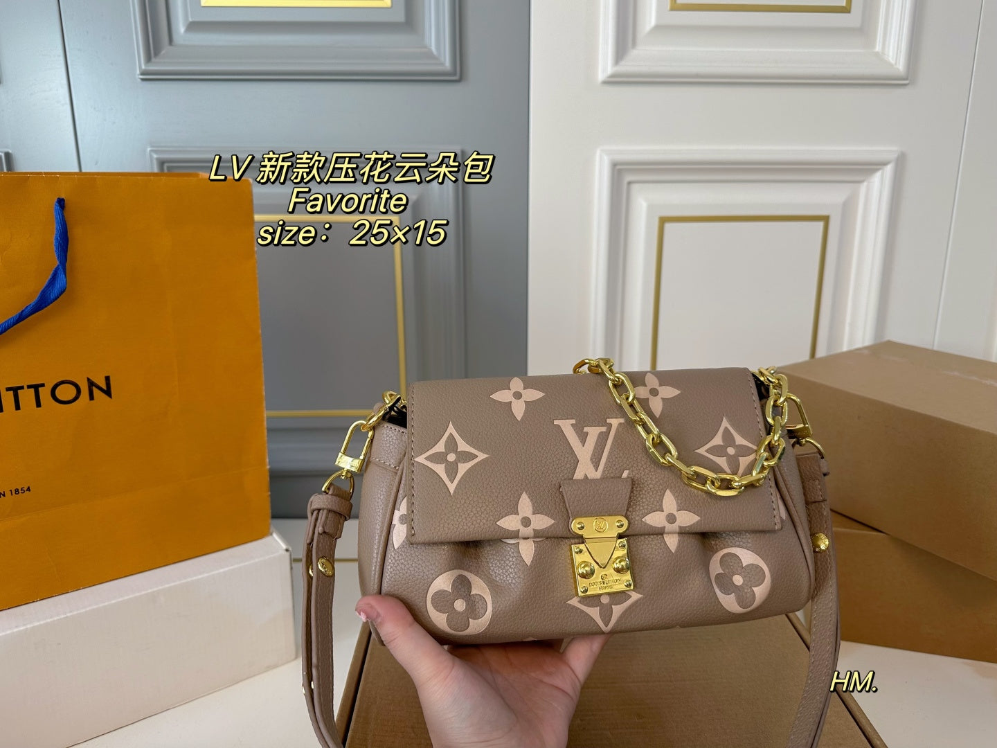 LV Favorite Cloud bag