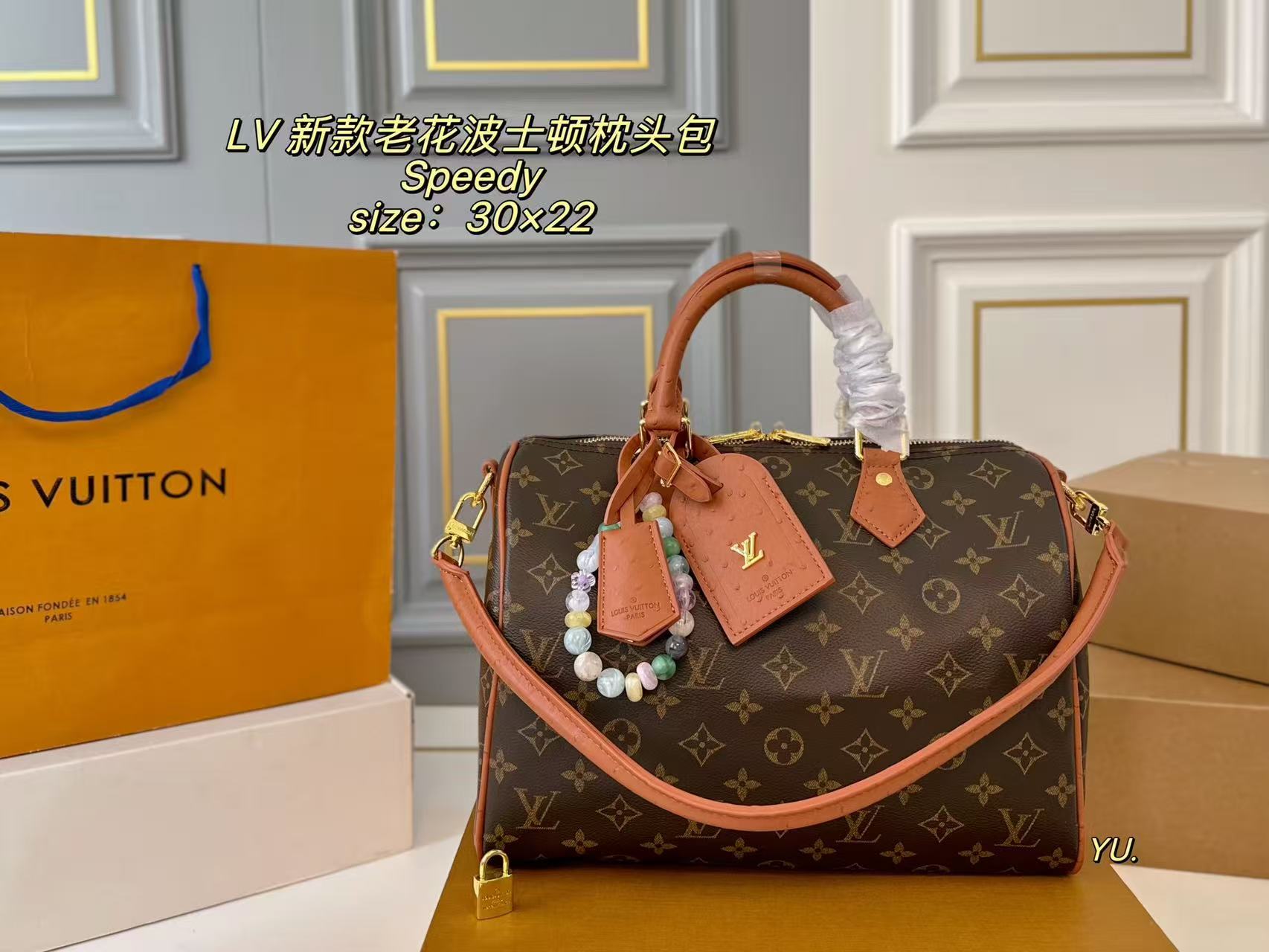 LV Speedy Boston Pillow Bag