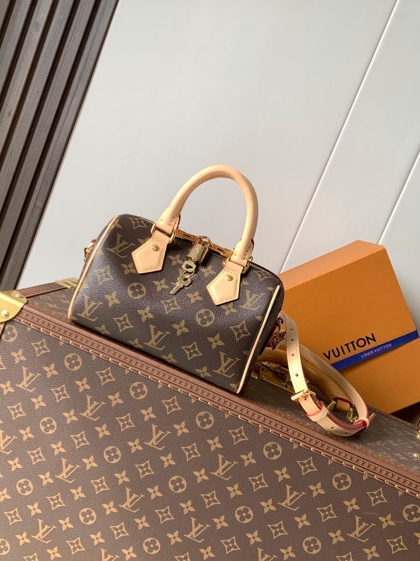 1:1 Replica LV Pillow Bag