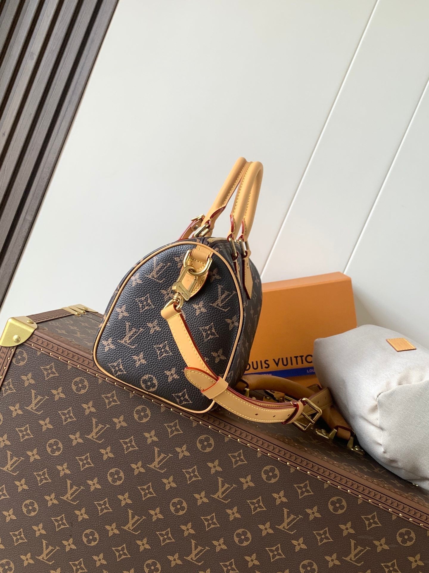 1:1 Replica LV pillow bag