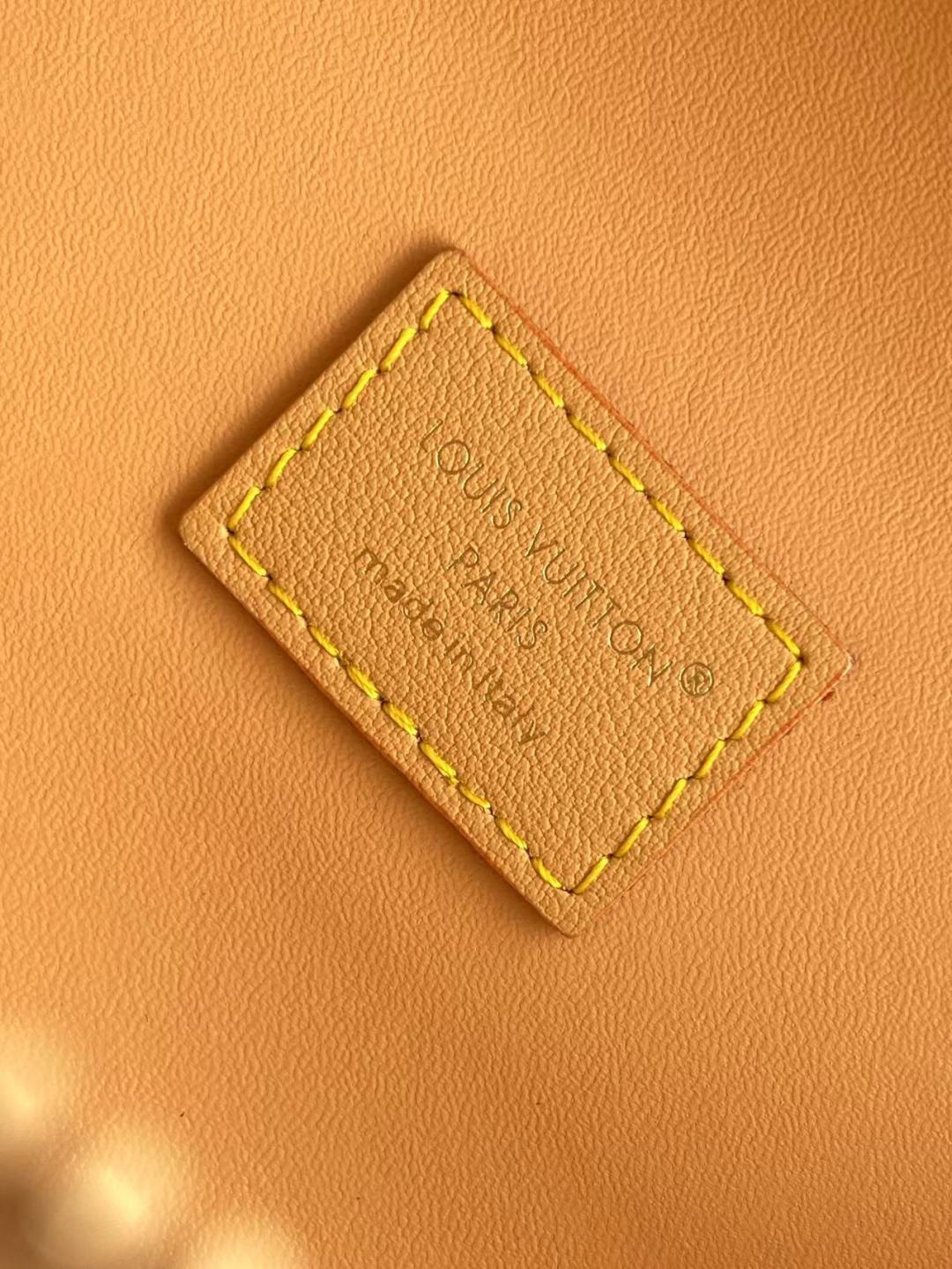 1:1 Replica LV crossbody bag