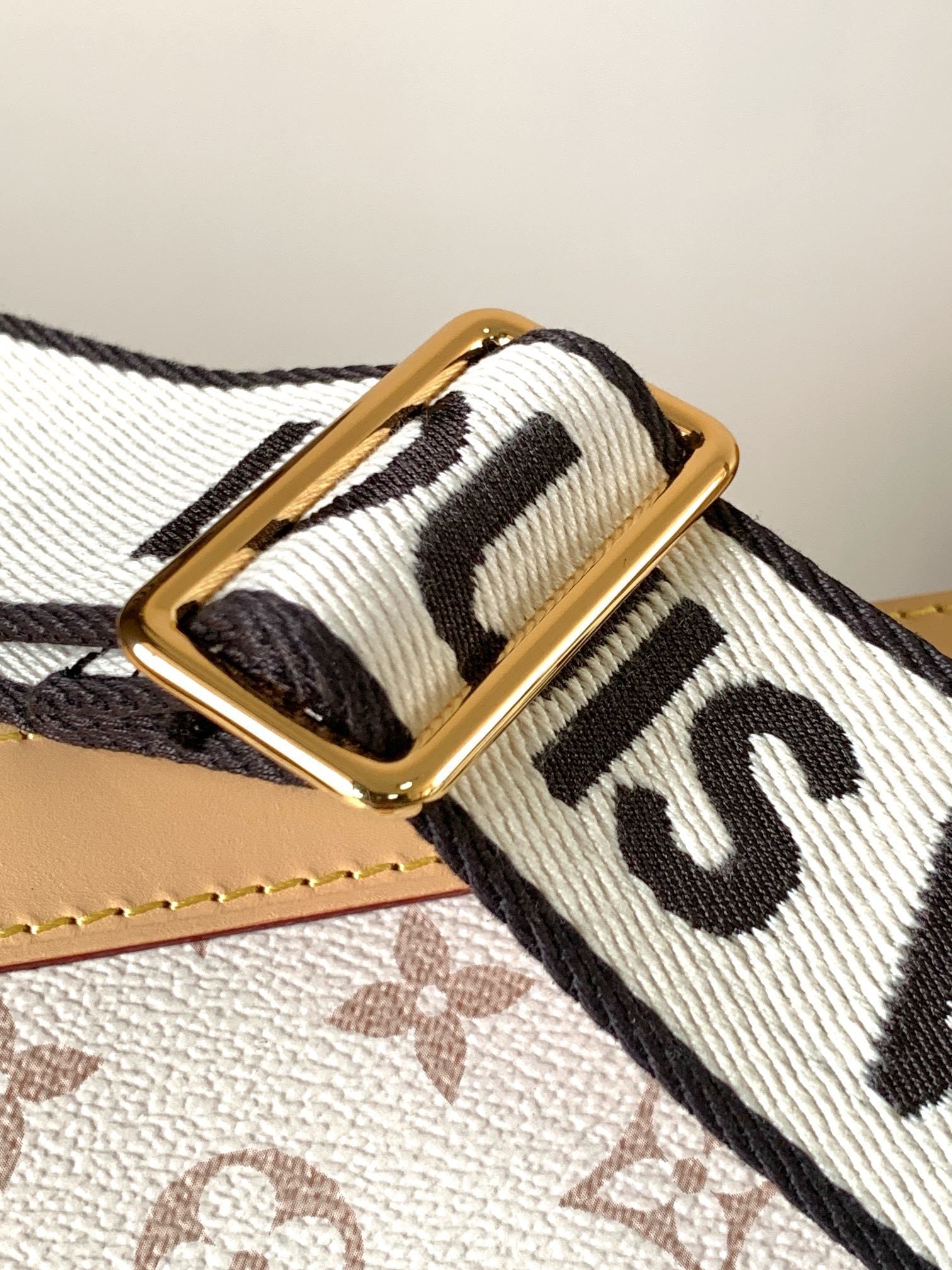 1:1 Replica LV Shell Bag