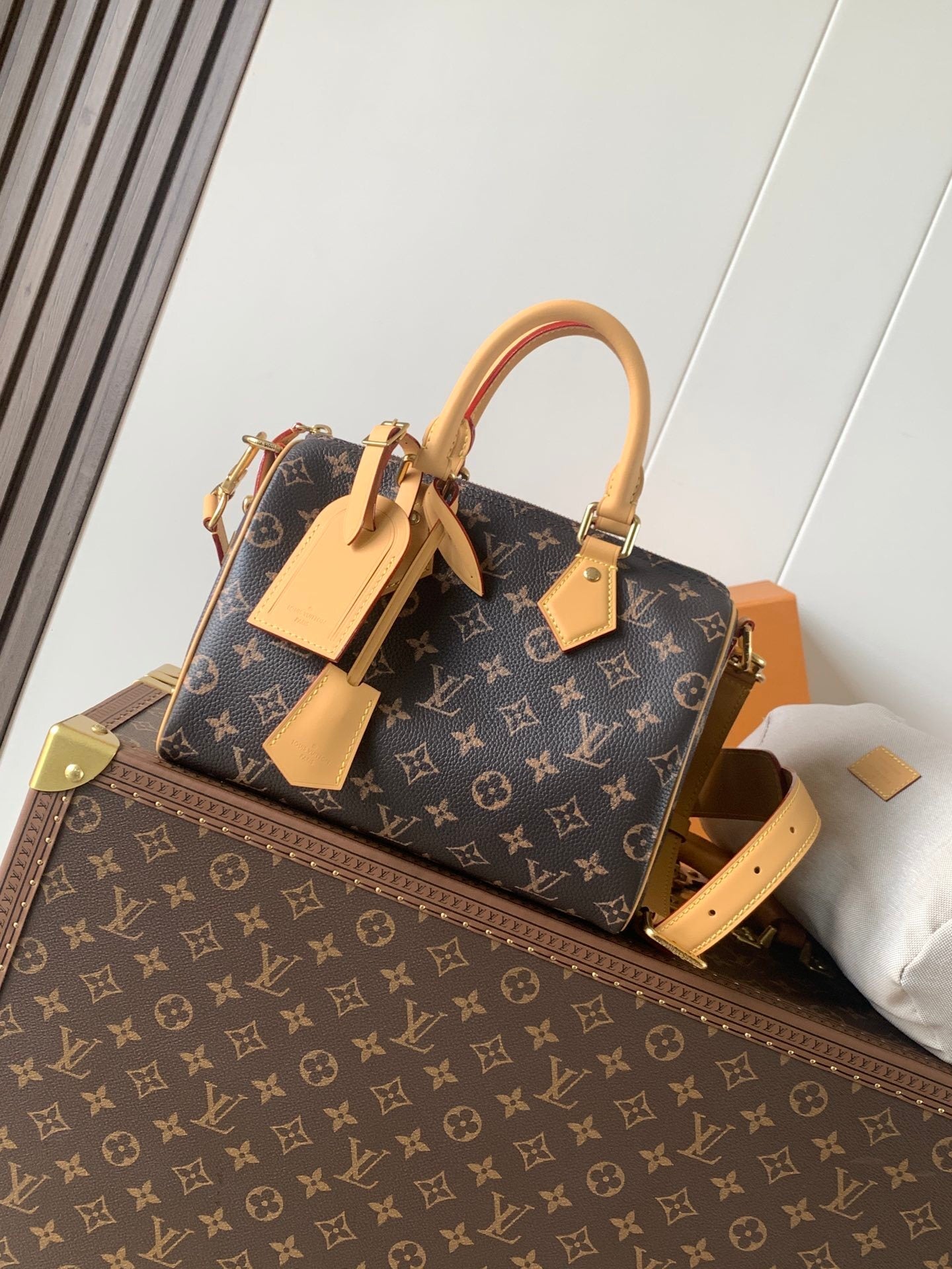 1:1 Replica LV pillow bag